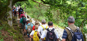 randonnées vallée de haute mayenne