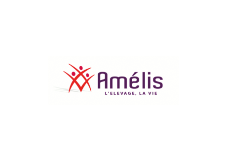 Amélis - Logo