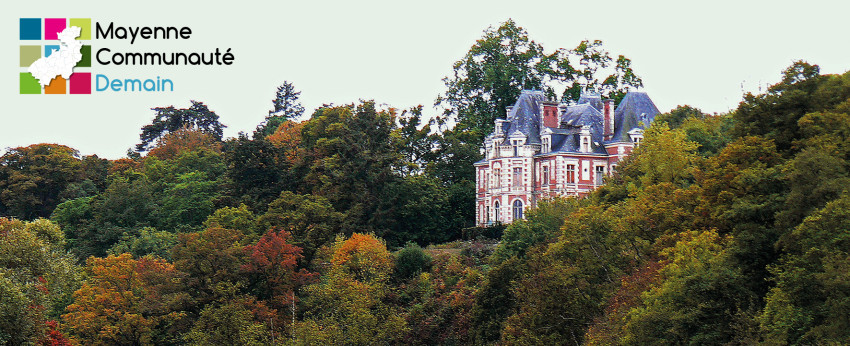 mayenne communauté de main groupe citoyen carte postale